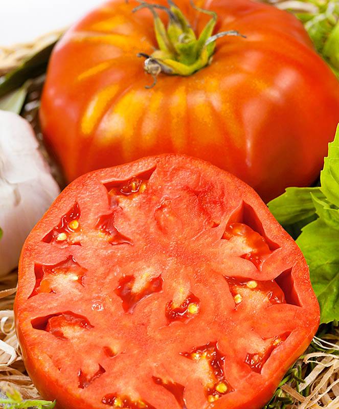 Самые урожайные сорта томатов для теплиц: крупные, новые, ранние, видео