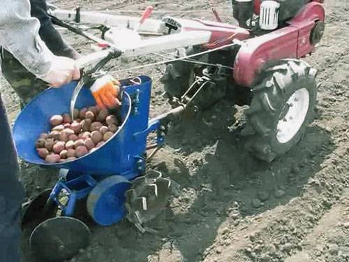 Посадка картофеля плугом (под мотоблок и ручным способом) — как сажать картофель под мотоблок