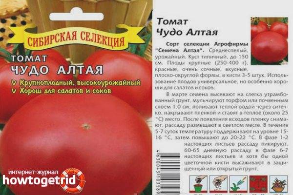 Подробное описание и характеристика сорта томата чудо рынка