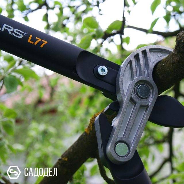 О сучкорезе Fiskars: с телескопической ручкой, описание устройства