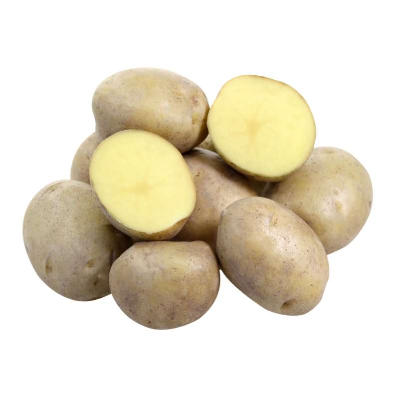 Картофель лилея: описание и характеристики белорусского сорта, вкусовые качества