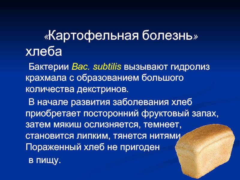Гниль сухая клубней картофеля | справочник пестициды.ru