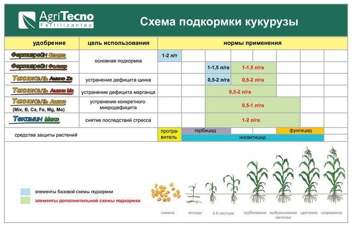 Удобрение кукурузы: чем подкормить лучше всего до и после посева, на зерно, в июне, июле и августе