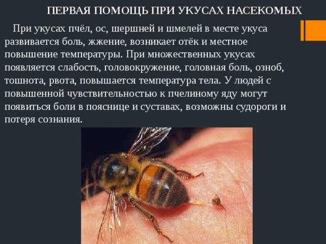 Первая помощь детям при укусах насекомых | служба дезинсекции дезстанция