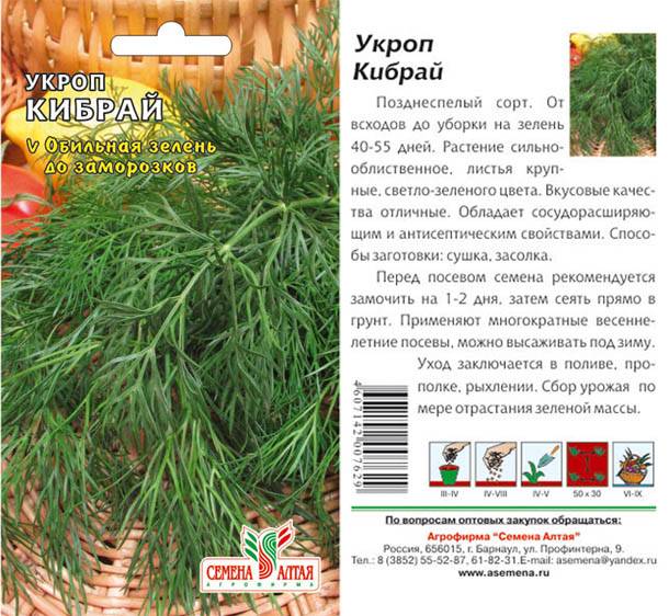 Укроп. выращивание укропа, выбор сорта