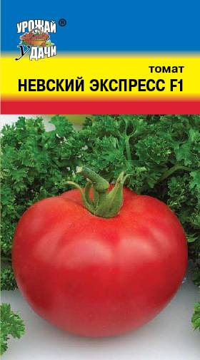 Семена лучших сортов томатов для ростовской области: обзор и названия