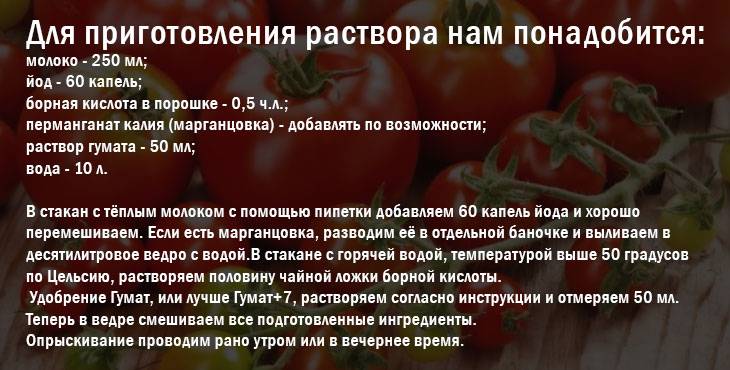 Борная кислота для помидоров: опрыскивание томатов, польза или вред + видео