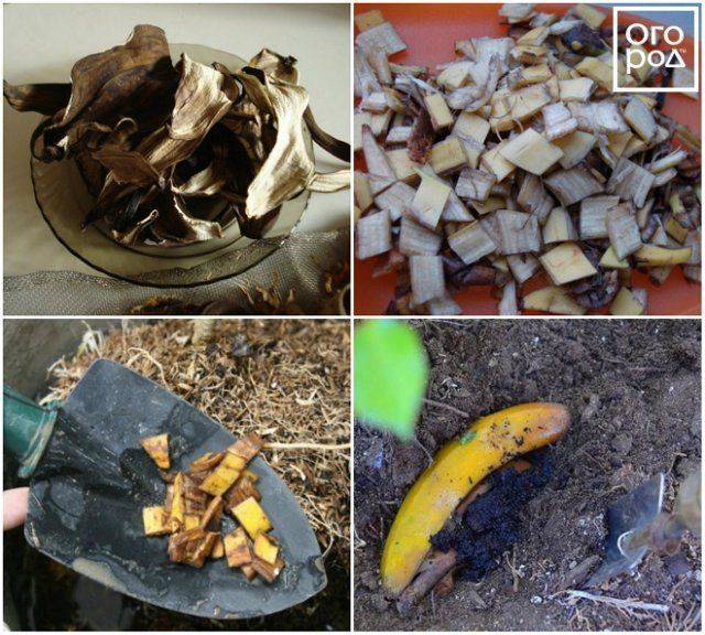 Банановая кожура как удобрение, применение для комнатных растений - почва.нет