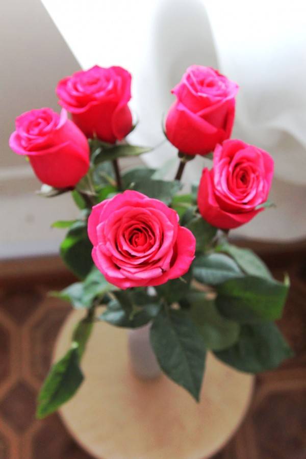 Чтобы розы дольше стояли в вазе дома: что нужно добавить, положить в воду