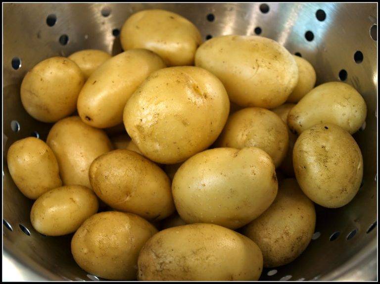 ✅ о картофеле никулинский: описание сорта, характеристики, агротехника
