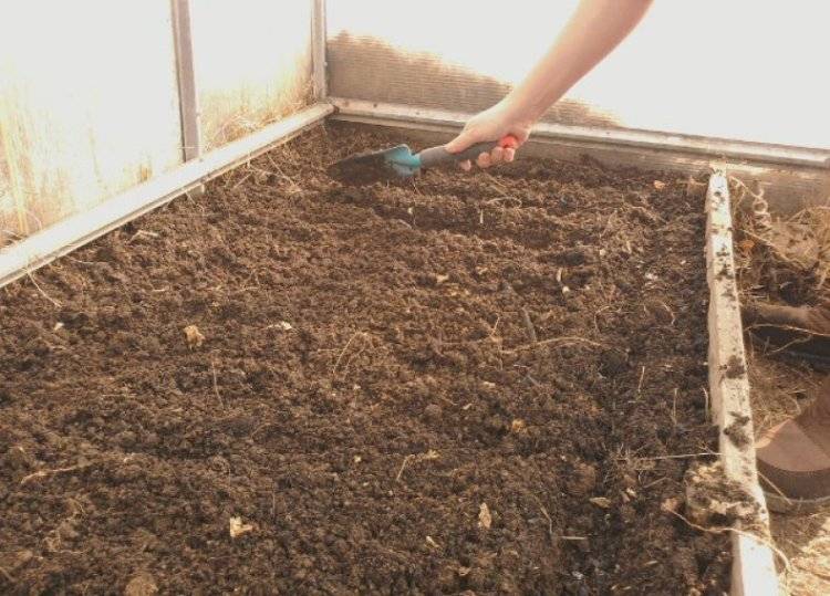 Подготовка почвы к посадке рассады. особенности выращивания томатов и помидор. | cельхозпортал