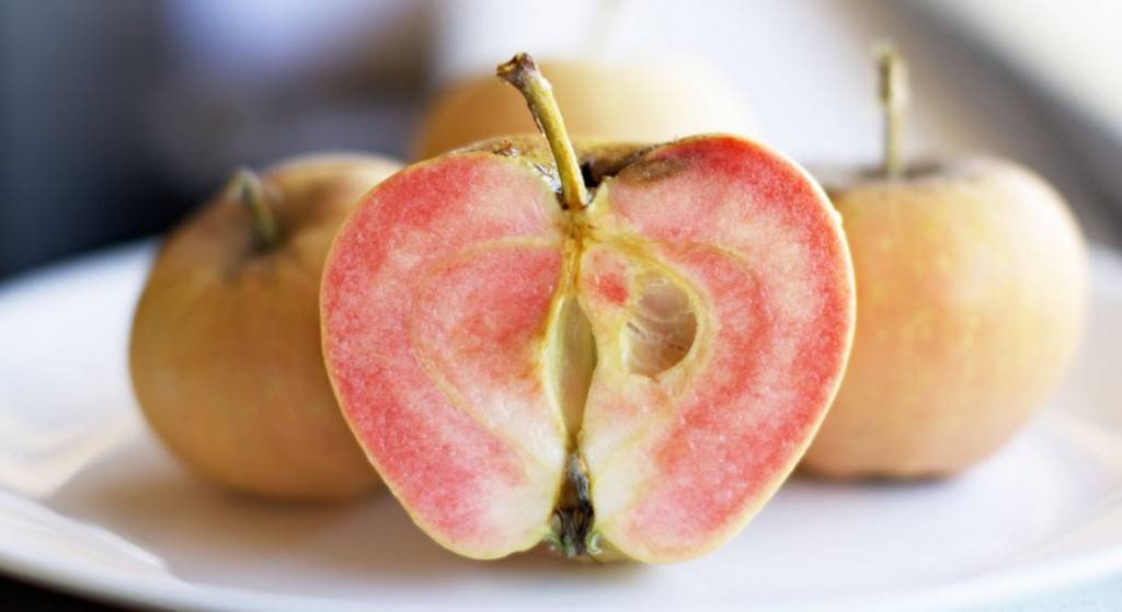 Сорт яблок розовый жемчуг, история сорта и его описание