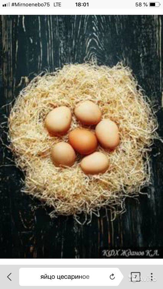 Что можно рассказать о пользе яиц цесарки. когда важно добавить их в меню и могут ли принести вред эти яйца? - автор екатерина данилова - журнал женское мнение