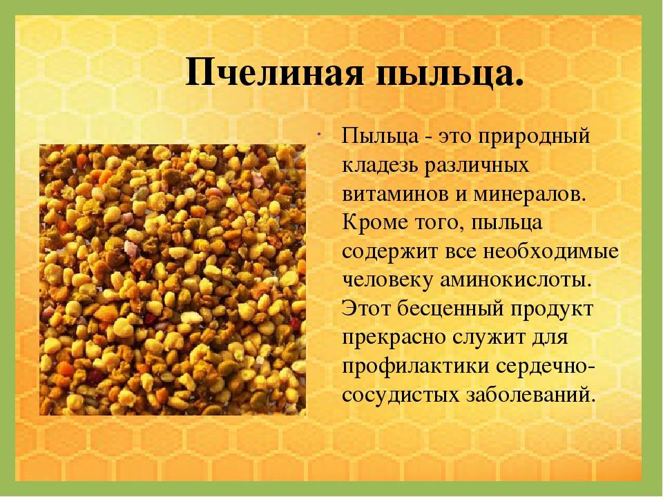 Пчелиная пыльца: полезные свойства и как принимать