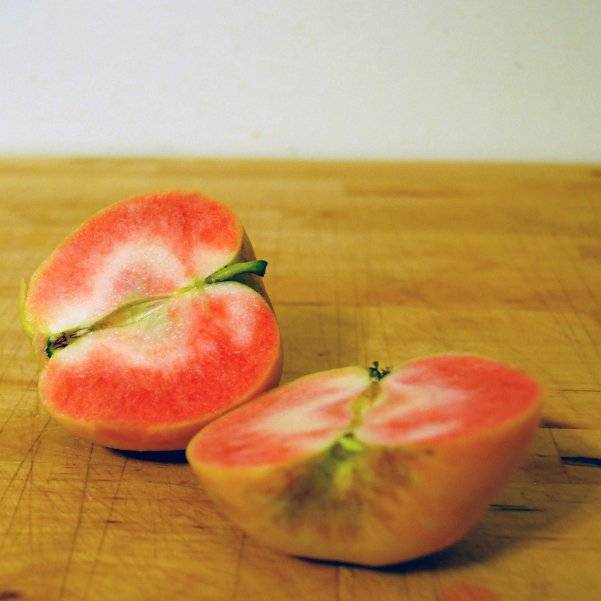 Яблоня розовый жемчуг: описание сорта, фото и отзывы