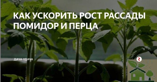 Стимуляторы и регуляторы роста для предпосевной обработки семян на supersadovnik.ru