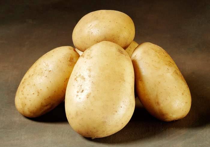 Картофель лилея: описание и характеристика сорта, отзывы