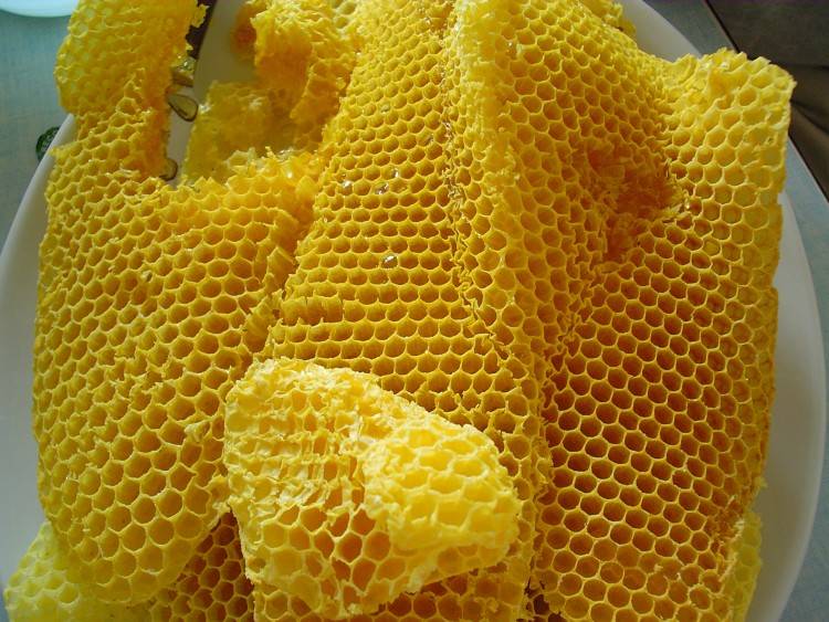 Получение воска пчелиного: химия и технология