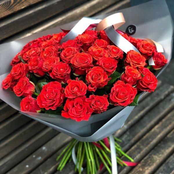Розы остинки — красные и прекрасные