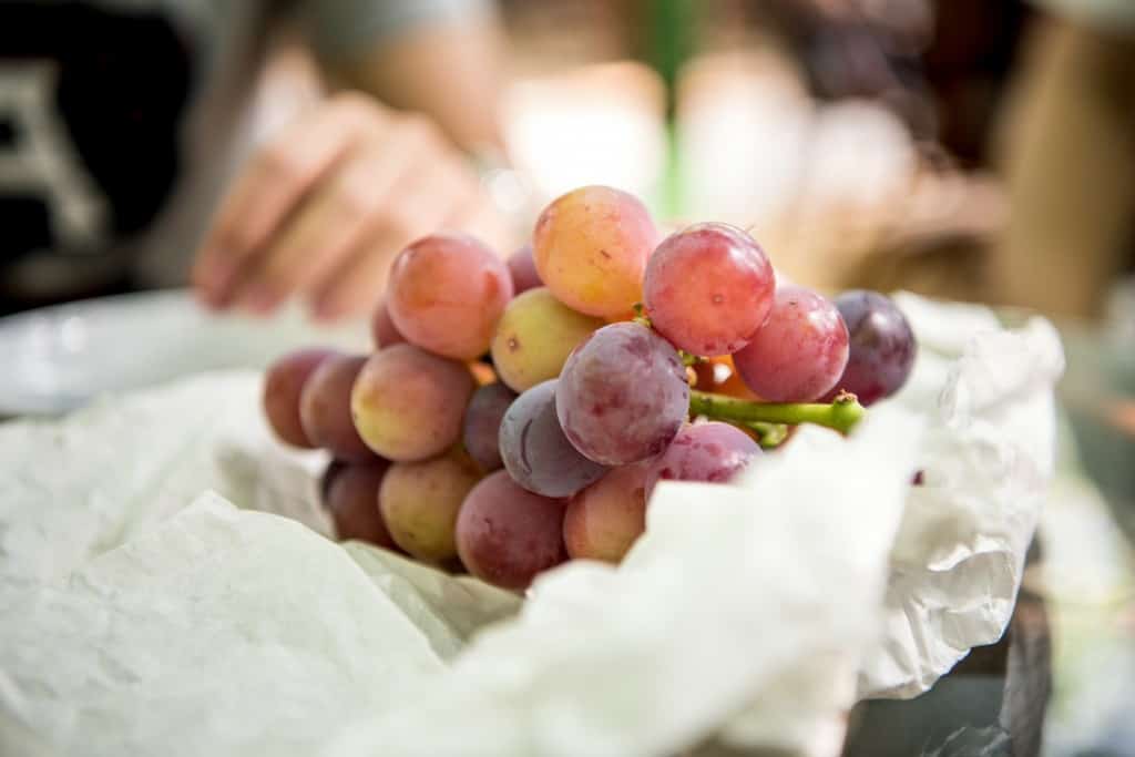 Виноград тасон: один из лучших мускатных сортов для приготовления элитного вина