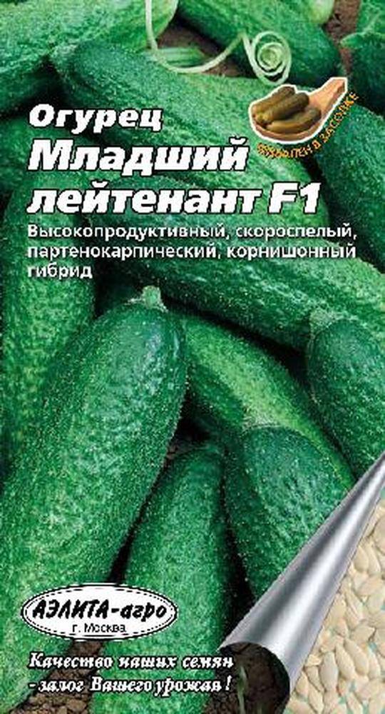 Огурец мамлюк f1: описание сорта, фото, урожайность, технология выращивания