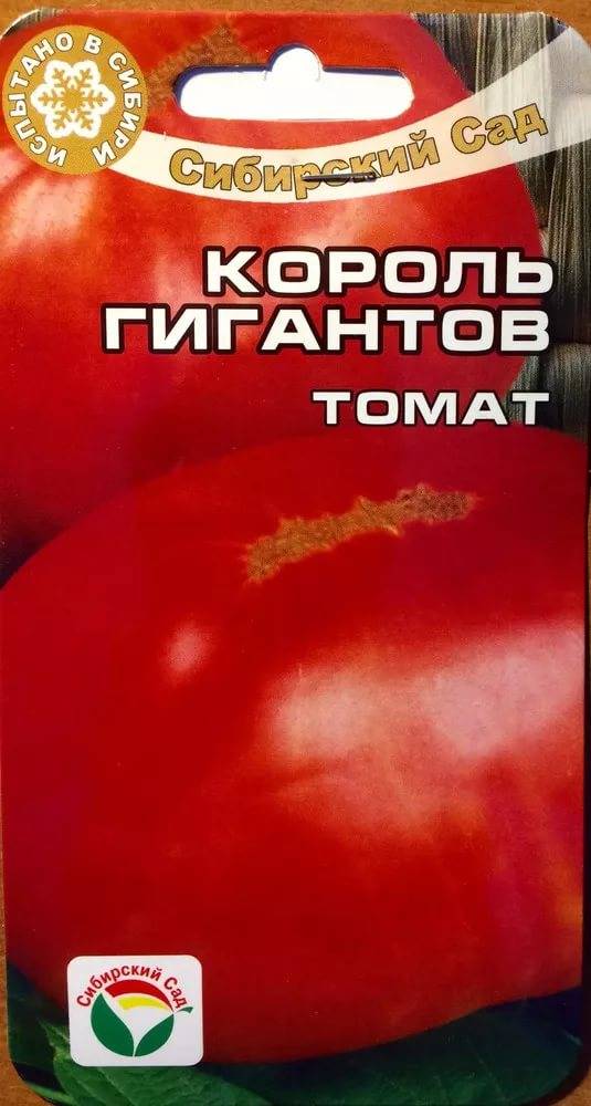 Характеристика томатов сорта король гигантов