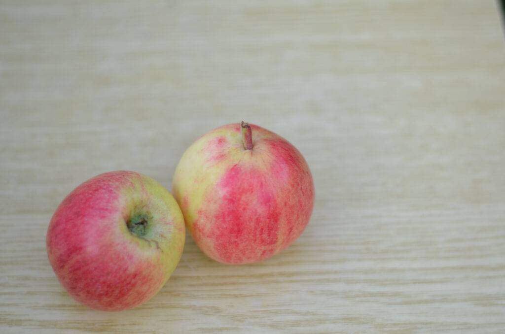 О яблоне персиянка: описание сорта, характеристики, агротехника, выращивание