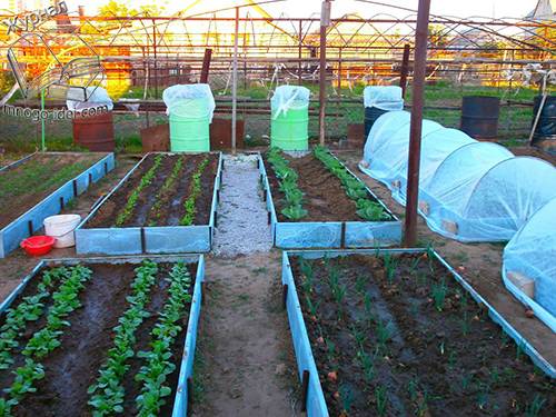 Выращивание огурцов инструкция и способы от посева до сбора урожая - почва.нет