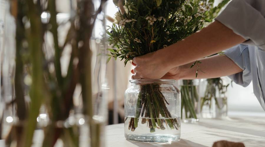 Как сохранить срезанные хризантемы в вазе надолго
