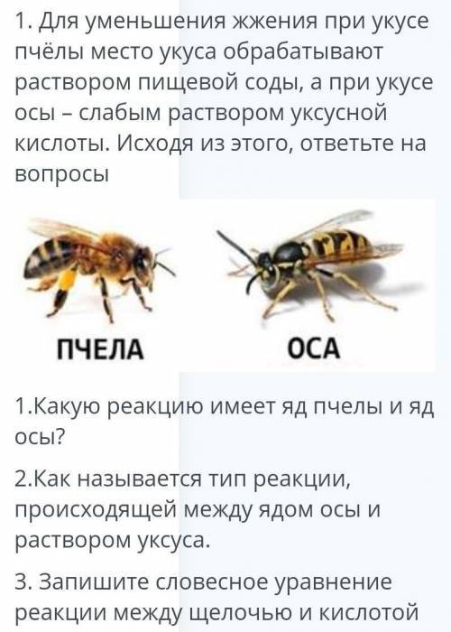 Что делать если собаку укусила пчела? | блог на vetspravka.ru