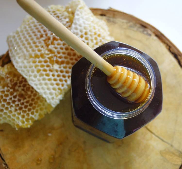 Падевый мед — что это такое? как определить падевый мед? - народная медицина