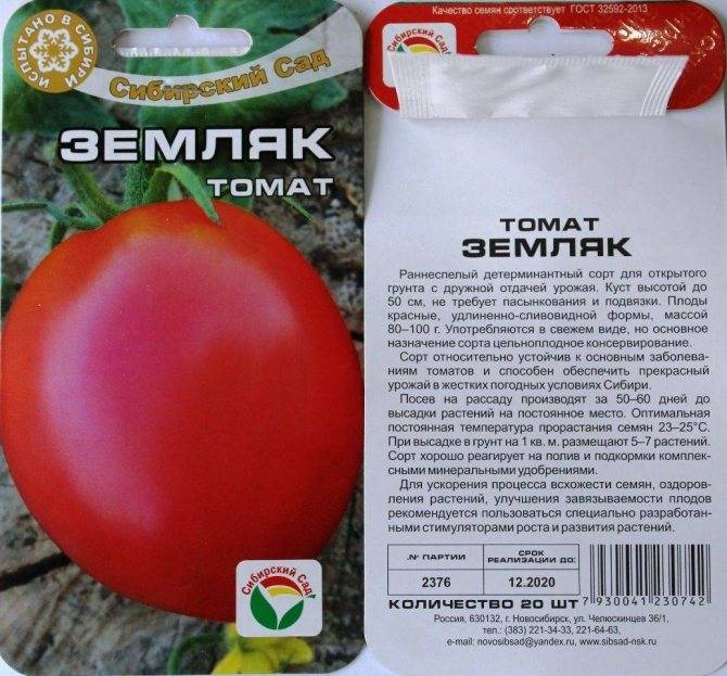 О сорте томата титан: характеристики помидора, уход и выращивание