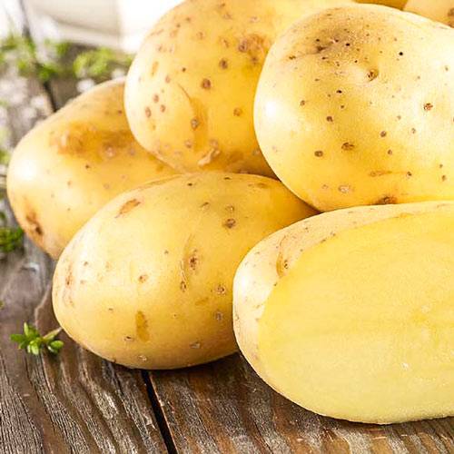 ✅ люкс: описание семенного сорта картофеля, характеристики, агротехника