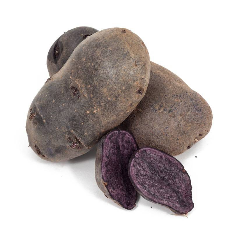 Сорт картофеля изюминка: характеристика клубней, технология выращивания