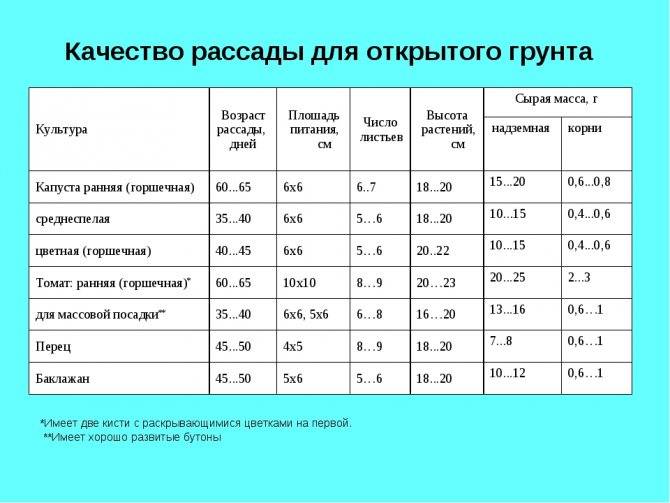 До скольки градусов мороза выдерживает капуста. боится ли овощ заморозков? | дачная жизнь