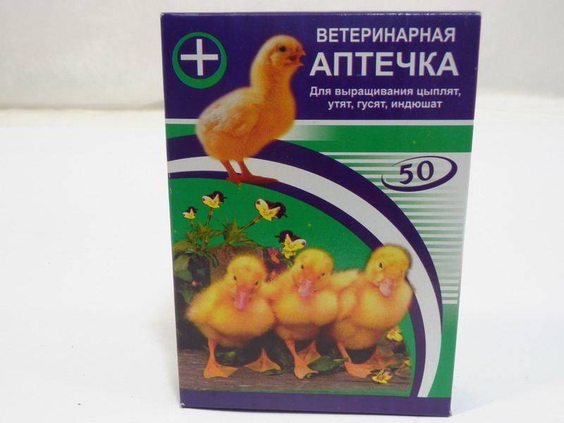 Энростин для цыплят: как правильно применять препарат