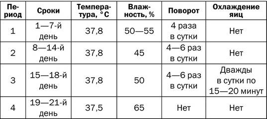 Инкубация куриных яиц в домашних условиях: советы, как сделать устройство самостоятельно, правила поддержания температуры и режимов selo.guru — интернет портал о сельском хозяйстве