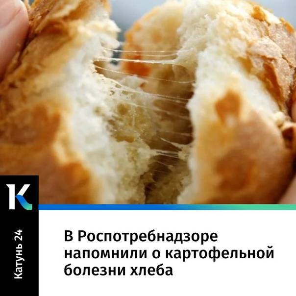 Болезни картофеля на supersadovnik.ru