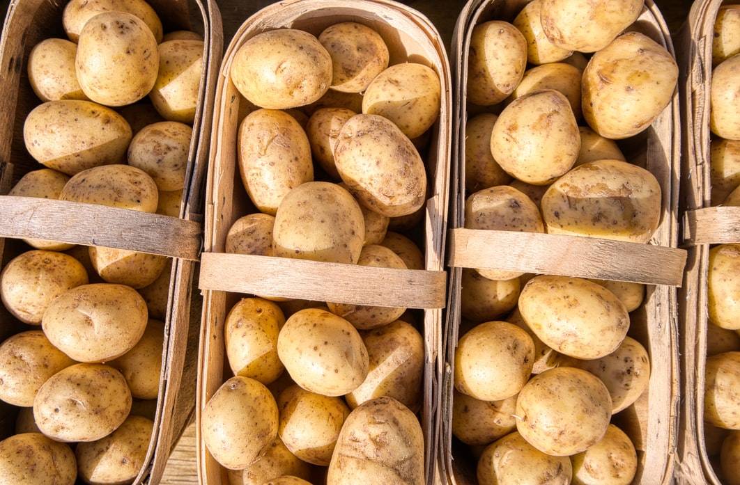 Как хранить картофель, какую температуру он выдерживает, хранение в домашних условиях