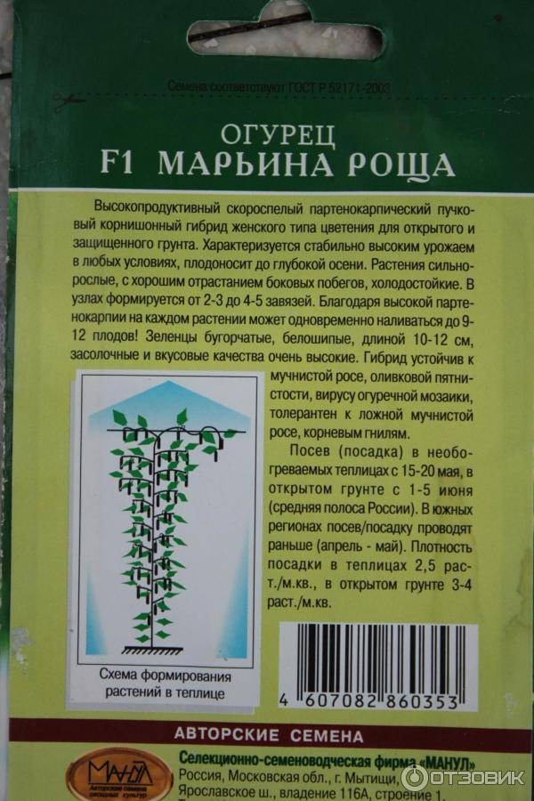 Огурец марьина роща f1: описание, отзывы, фото, посадка и уход