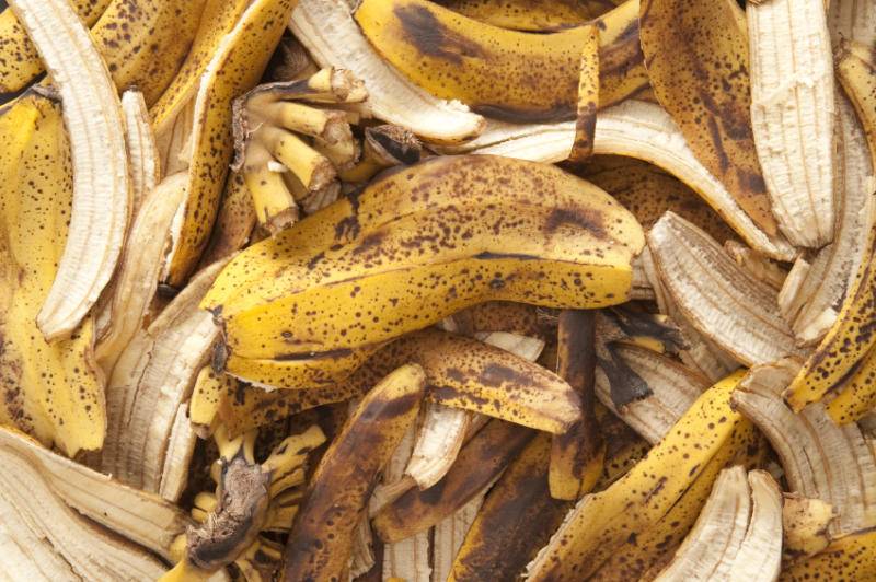 Банановая кожура как удобрение — для огорода и рассады
