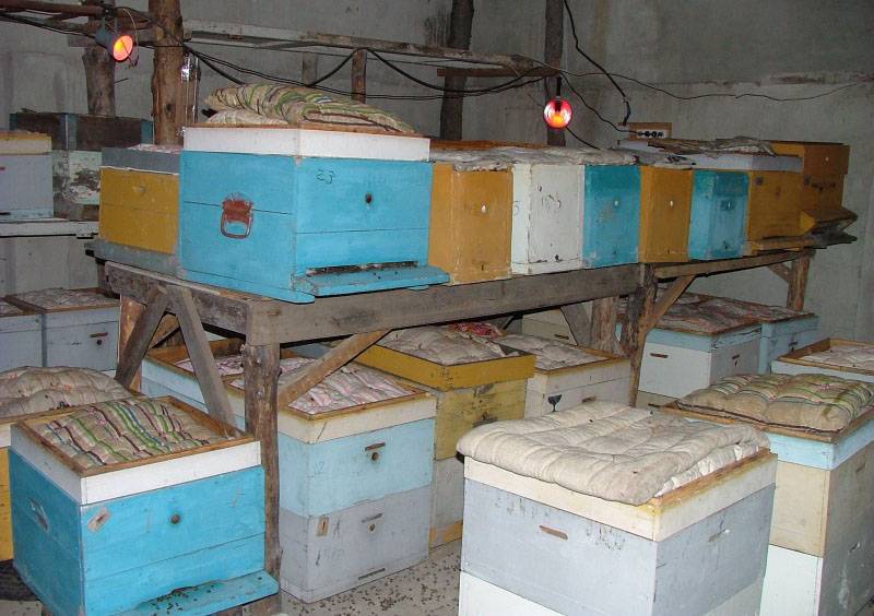 Омшаник для пчел надземный - о строительстве