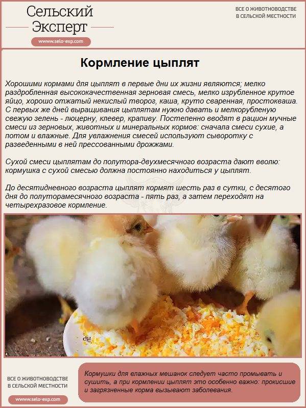 Глистогонные препараты для кур и с/х птицы | апиценна