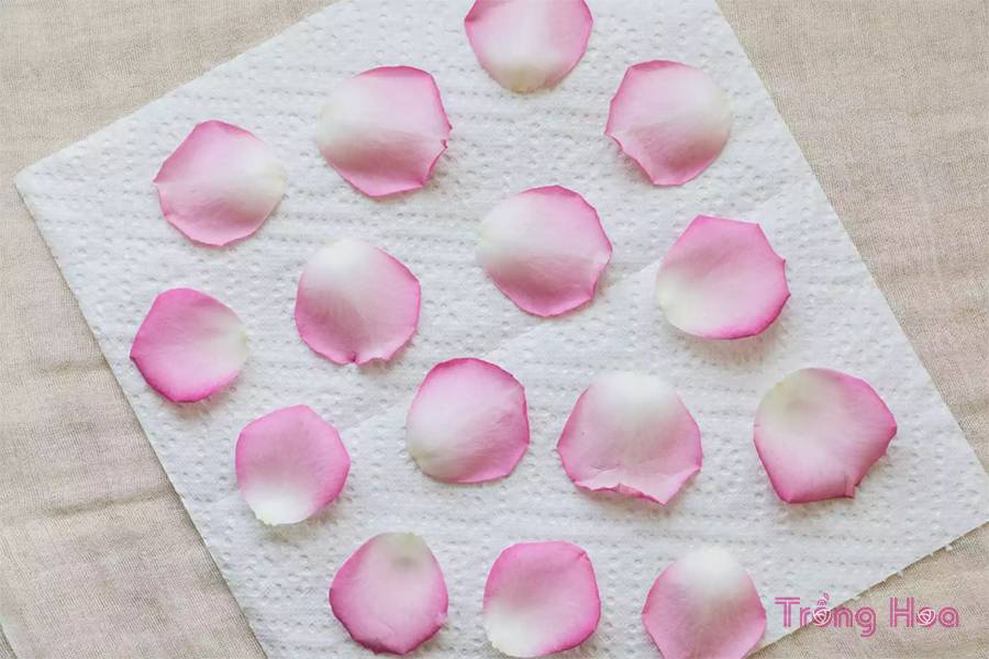 Что можно сделать из лепестков роз для лица. рецепты из лепестков роз