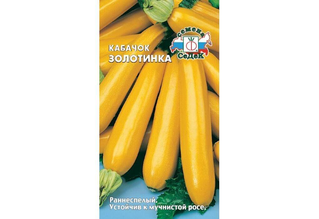 Кабачок золотинка — отзывы, описание сорта и характеристика цуккини
