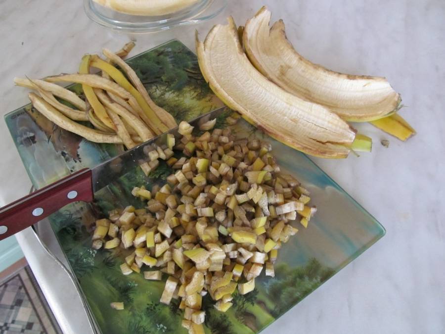 Удобрение из банановых шкурок: 15 необычных способов применения