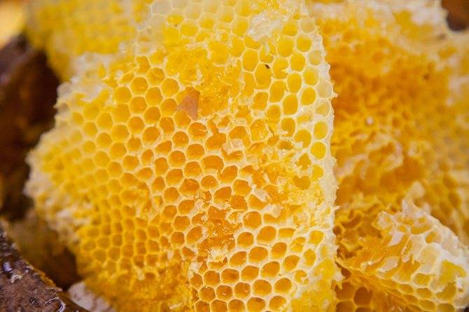 Как отличить настоящий мед от подделки. способы проверки мёда - медовый сундучок