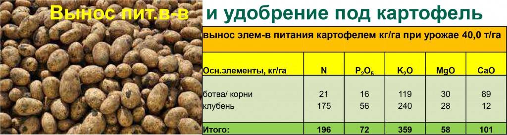 Необходимые подкормки картофеля для хорошего урожая