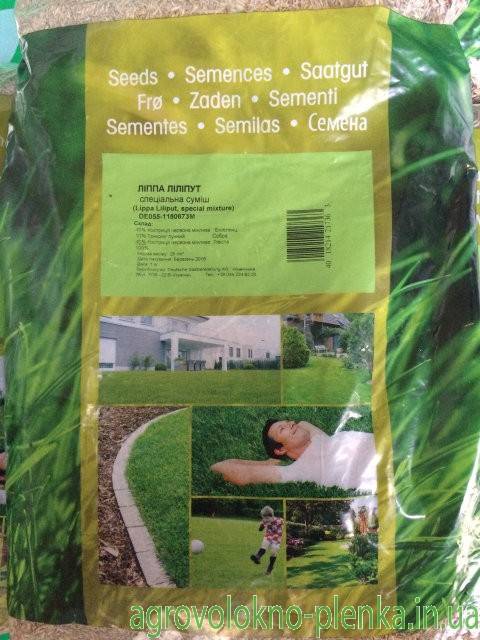 Газон для ленивых - низкорослая и медленно растущая трава, почти не требующая стрижки.