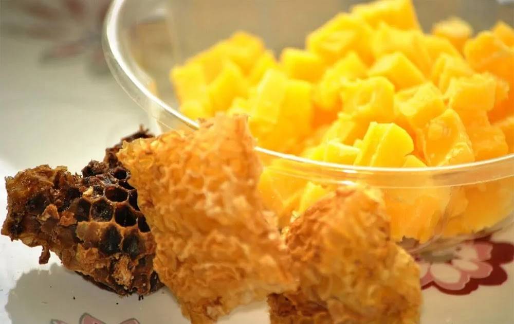 Пчелиный забрус ?: лечебные свойства, приготовление, применение, польза и вред